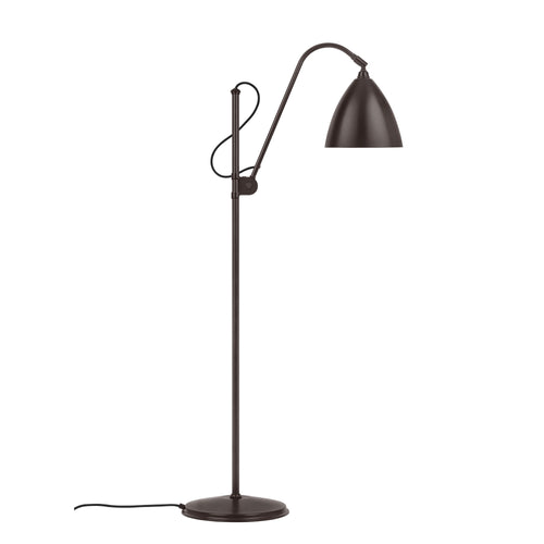 Adjustable arched metal dome floor lamp